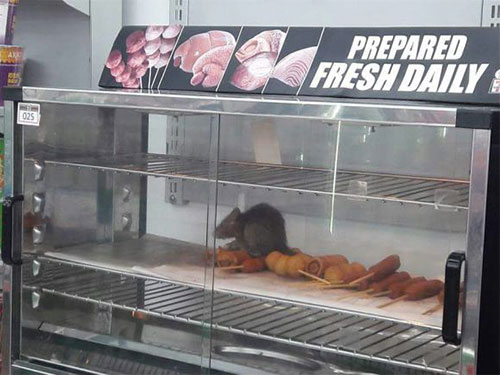 7-Eleven便利連鎖店的熱食區有老鼠，令人震驚。（圖：取星報網站）