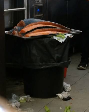 網民拍下工作員把三文魚放在垃圾桶的畫面。