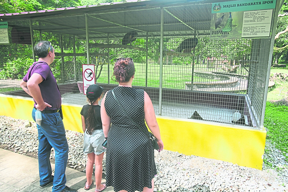 昆仑浪休闲公园内也设有鸟类观赏区，家长可从中教导孩子认识不同种类的小鸟。
