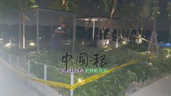 女死者從20樓墜下,不偏不倚掉在5樓的泳池處,當場斃命。