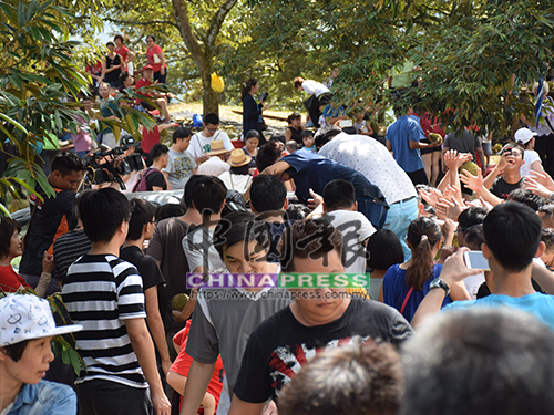 千人湧進榴槤園,園內處處人潮。