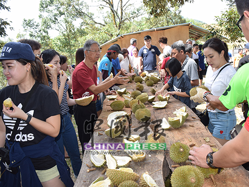 工作人員為大家剖開榴槤,讓大家品嚐。