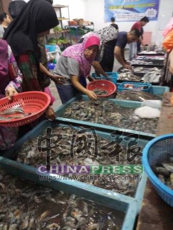 不少外地人慕名而來，起早摸黑到文律購買淡水藍鉗大頭蝦。