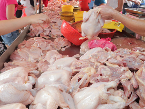 大马鲜鸡起价20% 狮城进口商喊太高了| 中国报Johor China Press