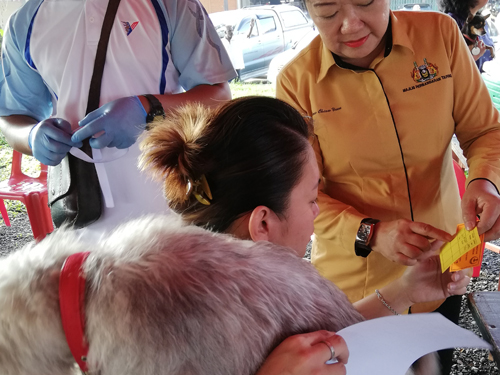 女狗主向市议员廖皎韵索取申请狗牌的表格，以便为家狗申请狗牌。