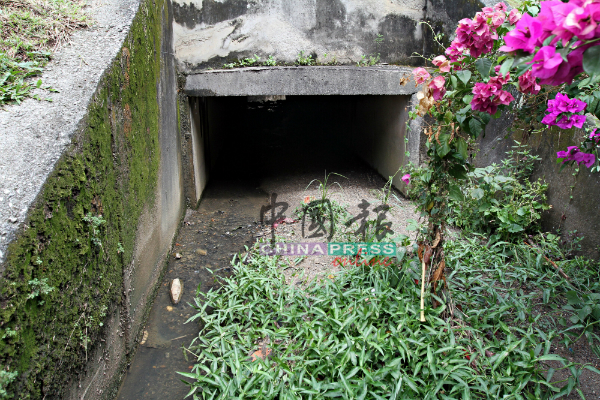 万茂新村村口的主要排水沟出口处已被大量黄泥和植物阻挡，导致排水速度受影响。