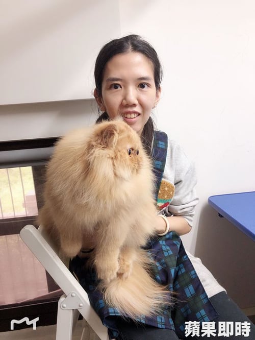 愛貓成痴的李姓港女，跨海來台偷竊2隻市價超過20萬元的白毛名種波斯貓，還將貓咪裹在腹中佯裝孕婦，成功搭機將貓咪偷渡回香港。