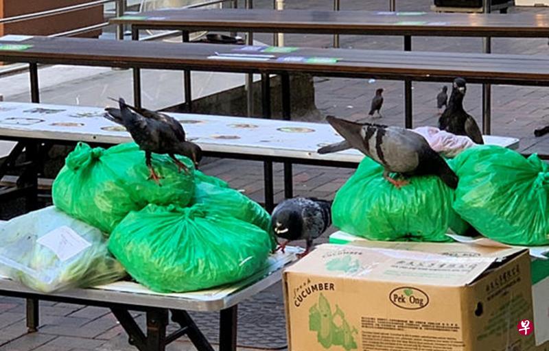 供应商把食材放在小贩摊位外的桌子上，引来鸟群。