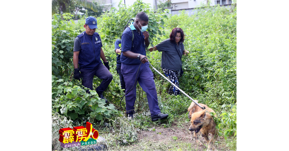 执法人员走入草丛中抓捕一只流浪狗，“Gimme Hope”成员梅笑容（右）在旁不断安抚狗只。