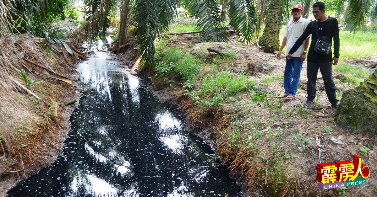 莫哈末法依扎（右起）和扎比迪在其中1间农场外，发现沟道内积满发出恶臭的污水。