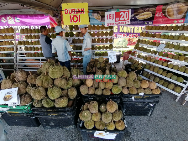 2019年马六甲水果嘉年华售卖大量本地水果，以果王为多。