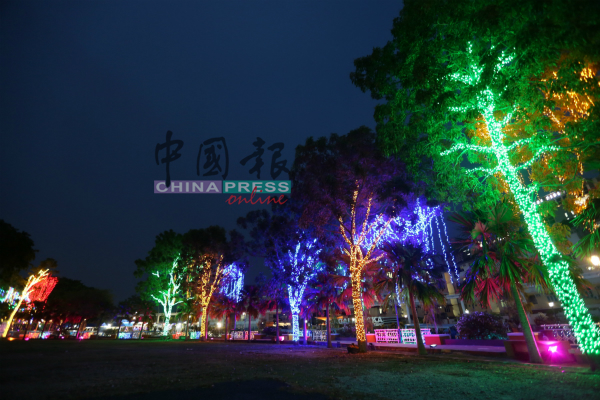 树木披上五颜六色的LED灯串，如同满城火树不夜天。