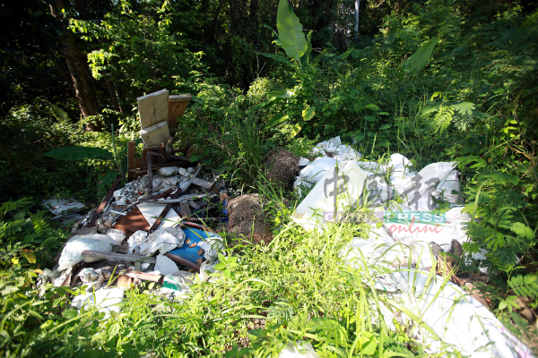 各丛林地区出现的垃圾堆各不相同，明显是不同的垃圾虫所为。