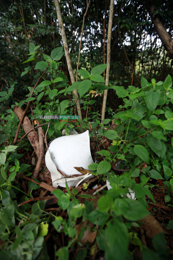 已破裂的马桶和发霉沙发椅，直接被丢在丛林处，眼不见为净。