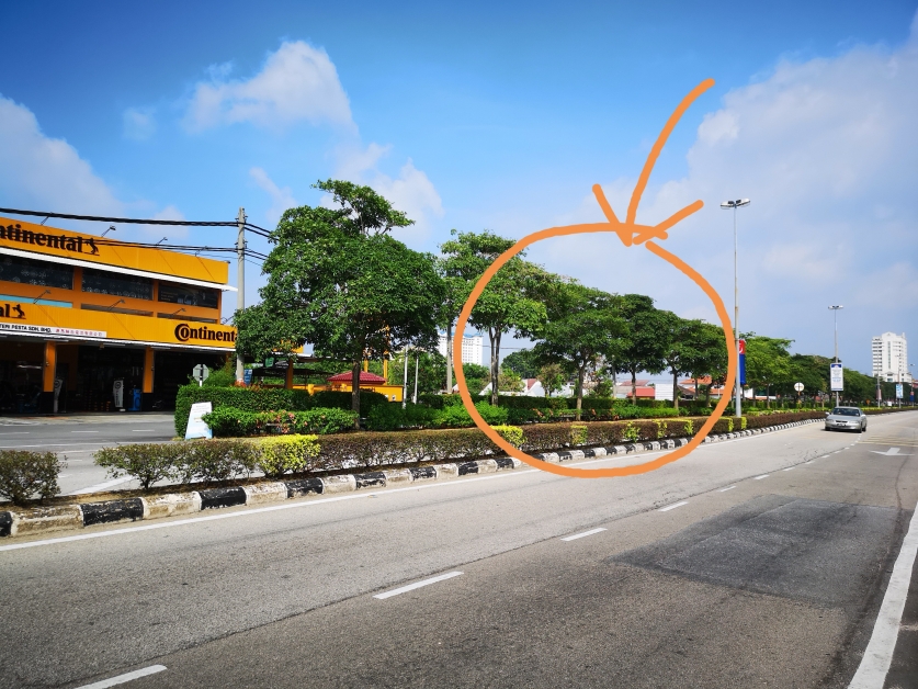 圓圈處為事發地點，即峇九尊隆路靠近輪胎店前的路段。
