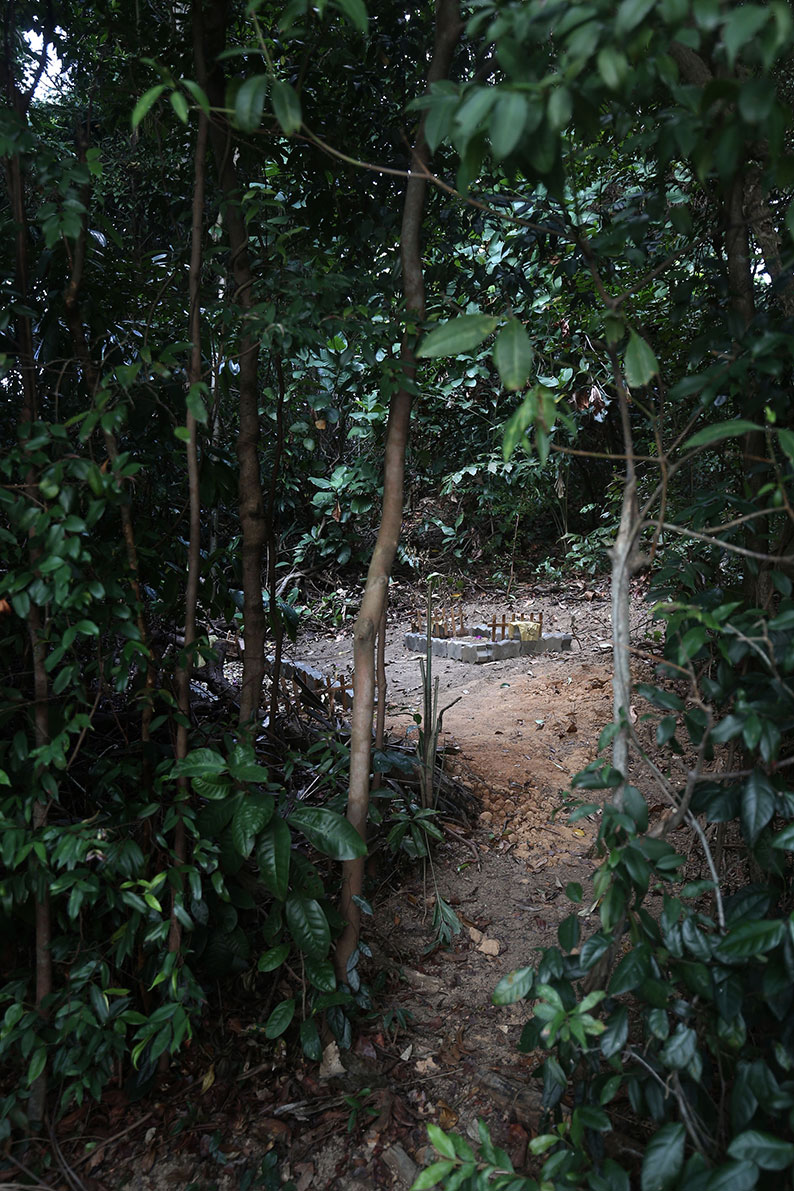 丛林出现两座用砖块砌成的神秘“坟墓”。