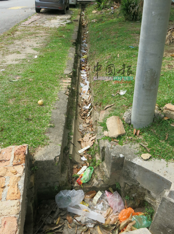 沟内也出现垃圾，担心影响排水系统。