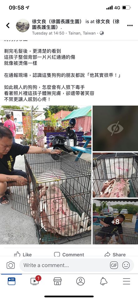 经网民肉搜后，发现有关虐狗的照片来自台湾。