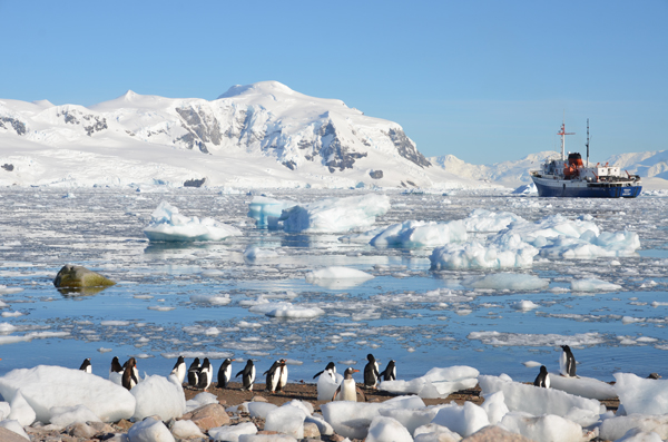 隨著全球變暖，冰川更是每年逐漸融化，還是趁早前往探索這片神祕的南極吧！
