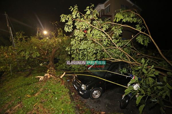 一阵狂风吹倒繁华花园组屋前数棵大树，并压毁至少5辆车子。
