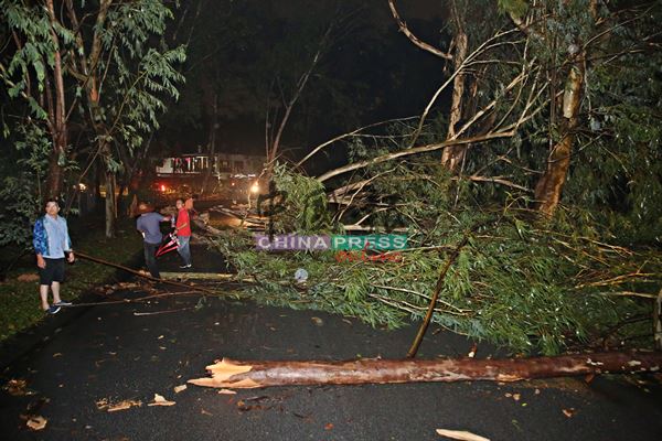 繁华花园来往翡翠岭路段因沿路多棵树倒，导致交通一度中断，芙蓉市议员们亲自到灾区为居民善后。