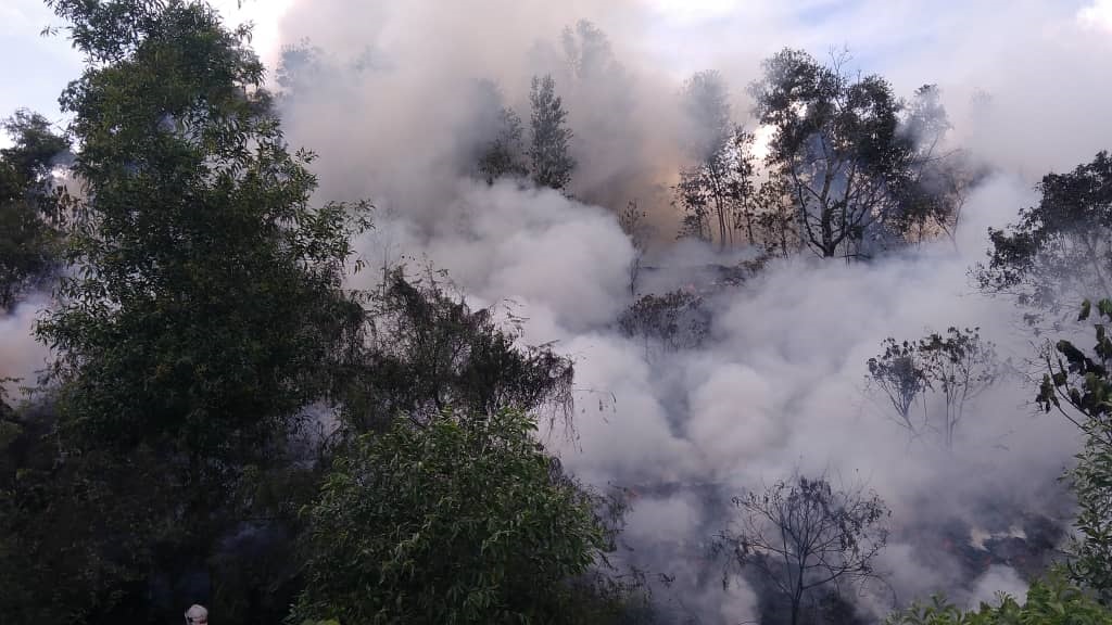 大道丛林烟雾弥漫，所幸火患范围只涉及丛林，没有蔓延至邻近的住宅区。