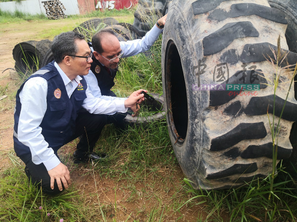 刘志良（左）和阿密鲁丁检查轮胎内的积水，是否有孑孓繁殖。