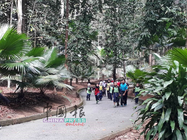 小学生也来植物园进行户外活动，认识自然环境与树木。