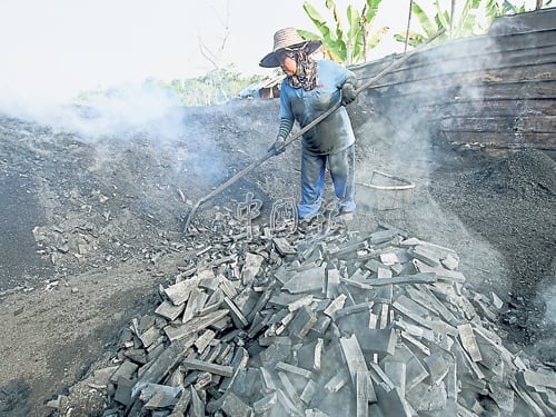木炭形成後，工友就得迅速進入木炭窯，將木炭挖出待冷卻。 