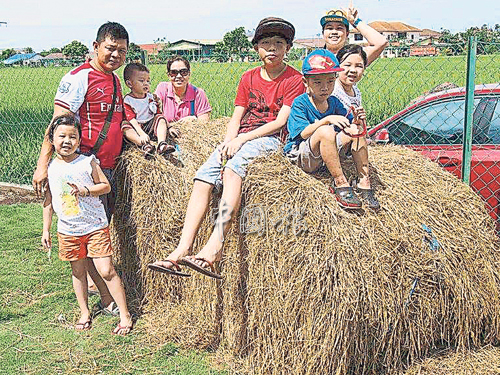 小孩子爬到干枯的稻草上玩樂，這是城市孩子不曾有的體驗。