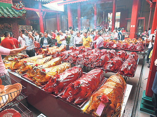 善信報效的逾40頭「金光閃閃」金豬整齊排列,場面壯觀。