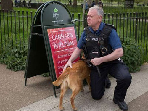  警察和警犬守在一塊警示牌旁。諷刺的是，牌上寫著：吸食大麻系違法行為。