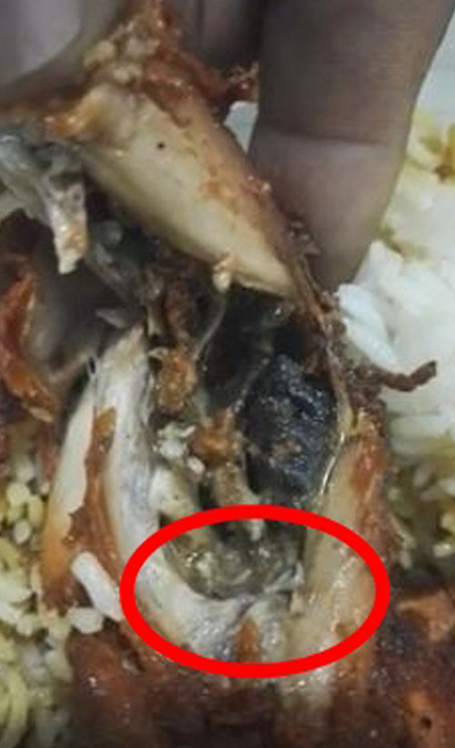 一堆小蟲在炸雞肉里蠕動，令人反胃。