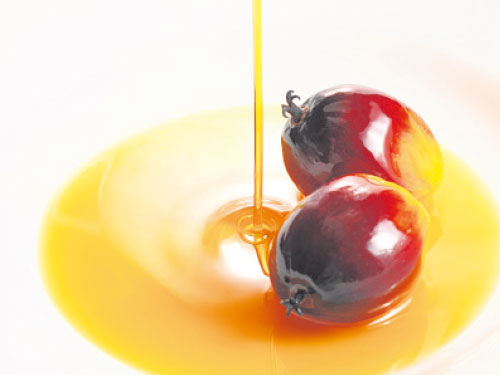 棕油是目前已知生育三烯酚含量最豐富的植物之一。