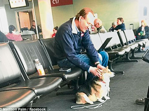 狗狗格拉走到一位獨坐在椅上的男士腳邊安坐。