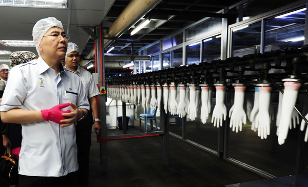 橡膠手套是馬來西亞橡膠產品工業中，帶來最多出口收入的乳膠製品，不僅協助橡膠小園主的收入增加，還成為貢獻國家經濟的重要領域。 