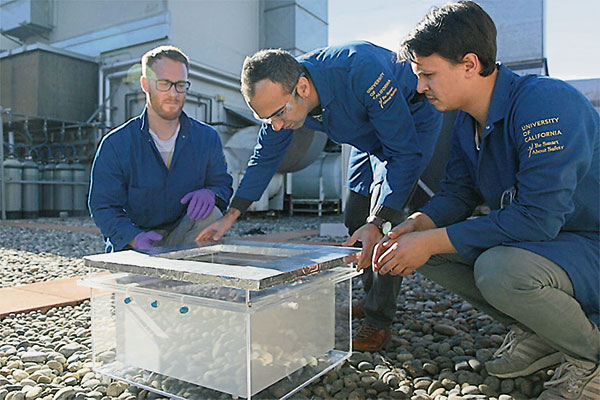 研究人員在沙漠中測試集水設備。