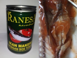 中國進口Ranesa沙丁魚罐頭 發現海獸胃線蟲