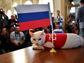 世界杯序幕戰 貓皇欽點俄羅斯贏首勝