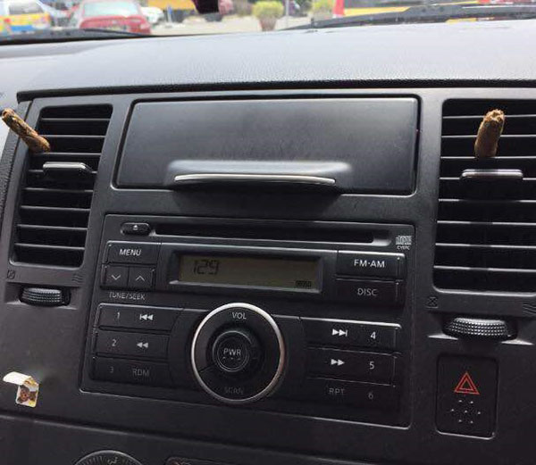 網民指出，如果要把榴槤放在車內，就剪下一個榴槤莖後放在冷氣排風口，車內就不會留下榴槤味。 