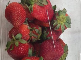 澳洲6草莓品牌 遭惡意插針