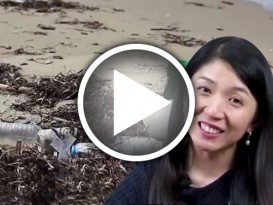 美女部长 拍视频 杨美盈 教全民和一次性塑料 “分手”