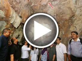 务边发现 70万年老虎化石