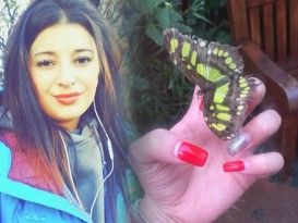 少女蝴蝶园带走最大茧  孵出罕见皇蛾 拒归还