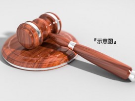 独留6岁侄儿在家2小时 25岁华裔女被控！