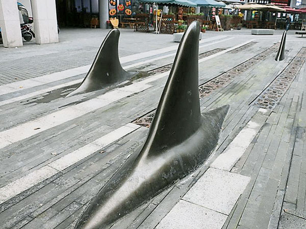    重庆一园区路面惊现鲨鱼鳍，防止汽车乱停。（互联网）