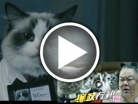 港大学生创意无限  拍摄猫猫反贪广告搞笑