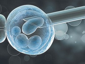 健康聚焦‧PGD与PGS助孕科技助植入健康胚胎