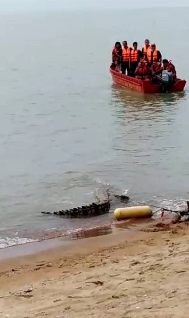 消拯员及野生动物保护局官员乘船到场,拯救被渔网缠着的鳄鱼。