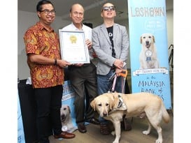 陈锦辉：争取导盲犬合法化权益 100天内收集10万签名点赞